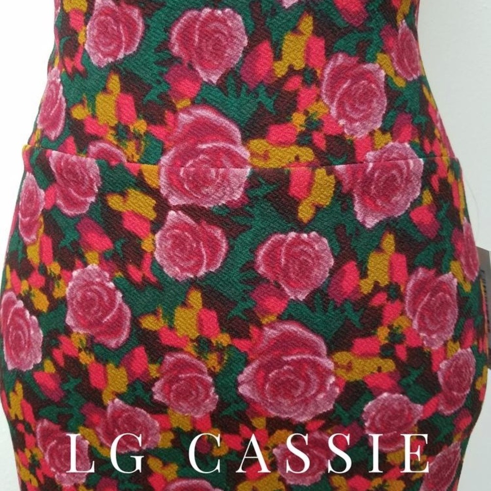 Large Cassie